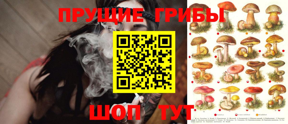 Псилоцибиновые грибы мицелий  Псилоцибиновые грибы мицелий  Вход с VPN  Гусь-Хрустальный 
